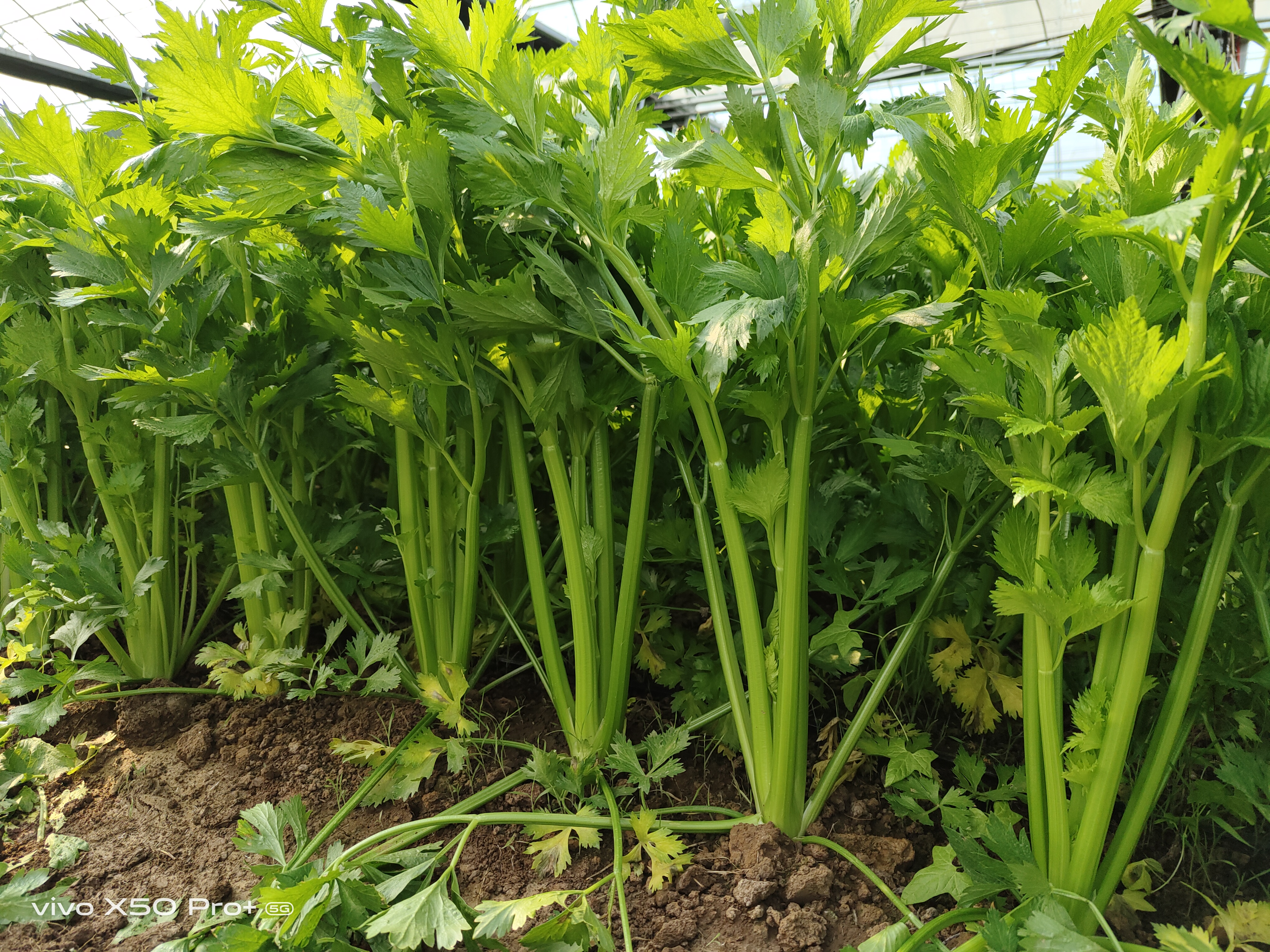 [!--bclassname--